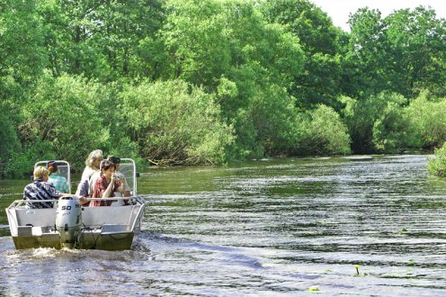 Белорусская природа – флора, фауна, заповедники, заказники| Belarus Туристический комплекс