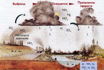 Проблема Кислотных Дождей в России