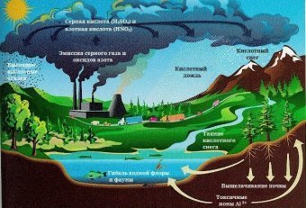 Загрязнение Почв и Проблемы Сельского Хозяйства